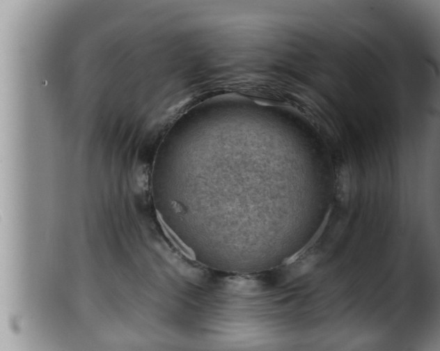 X0000099530284200805231109