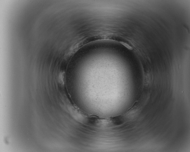 X0000099530286200805231109