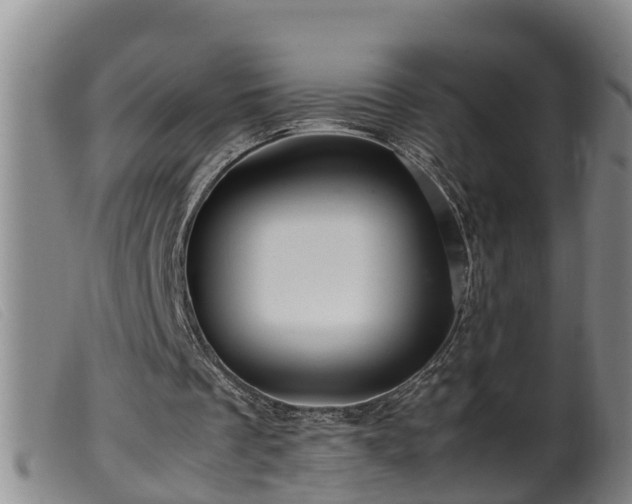 X0000099530289200805231109