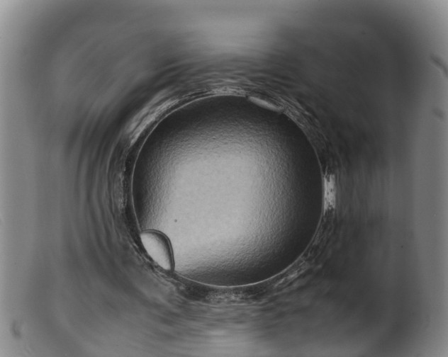 X0000099530291200805231108