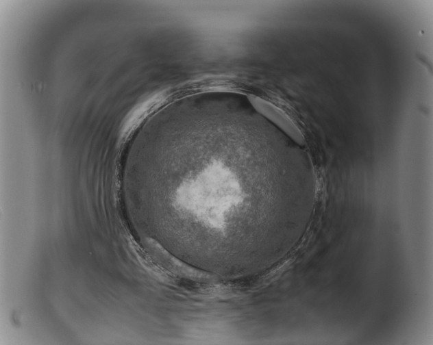 X0000099530293200805231108