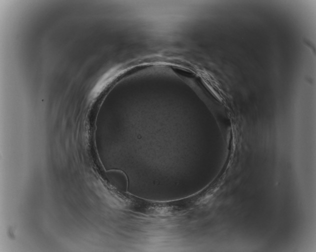 X0000099530295200805231108