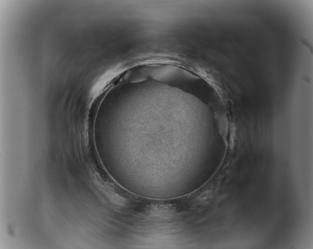 X0000099530296200805231108