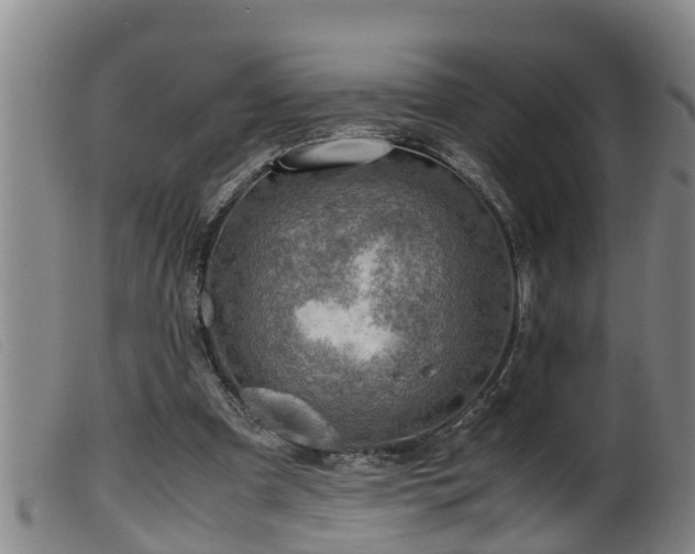 X0000099530297200805231108