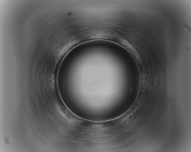 X0000099530298200805231108