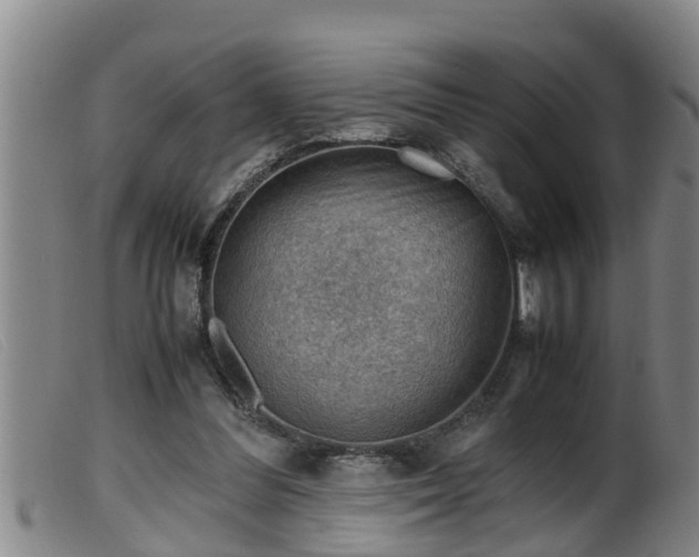 X0000099530300200805231108