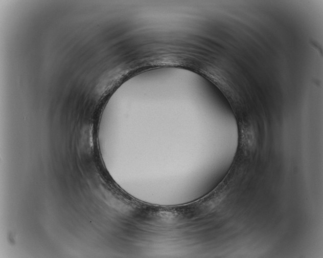 X0000099530302200805231108