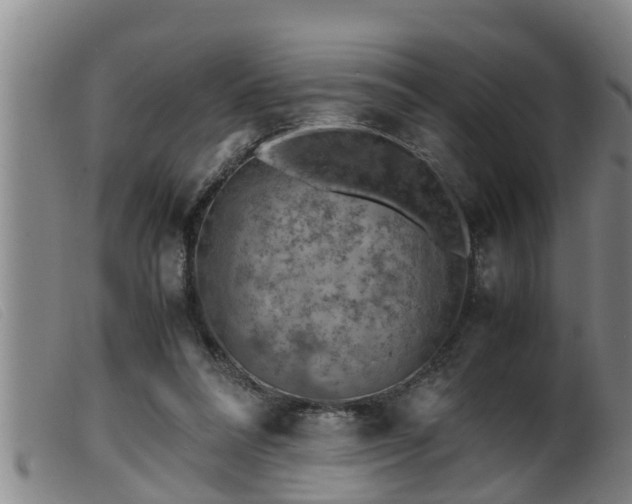 X0000099530304200805231108