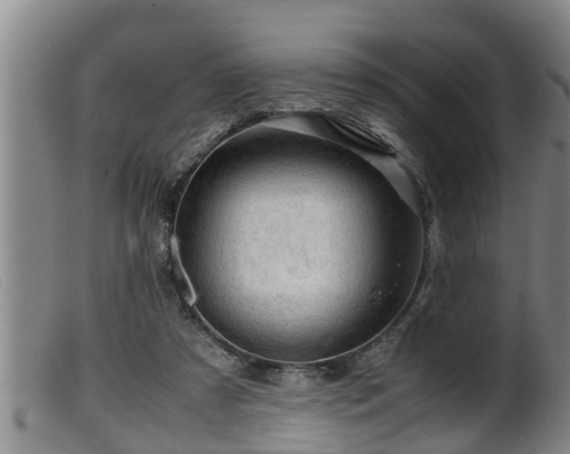 X0000099530305200805231108