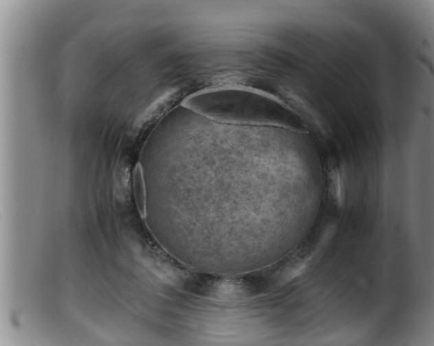 X0000099530308200805231108