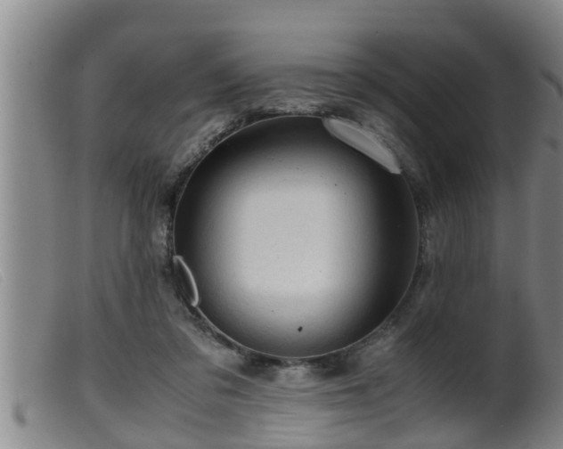 X0000099530309200805231108