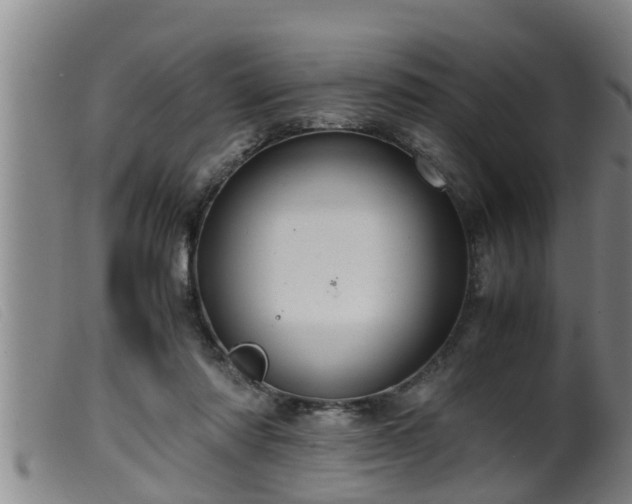 X0000099530310200805231108