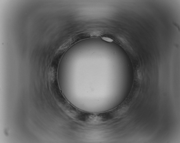X0000099530311200805231108