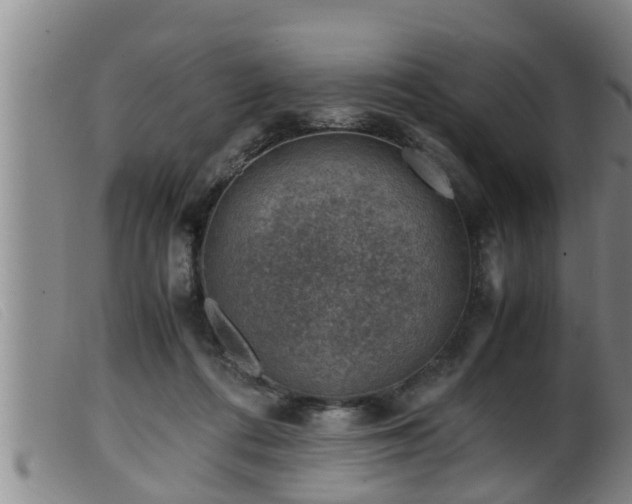 X0000099530312200805231108