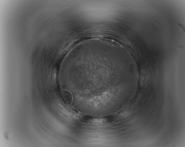 X0000099530314200805231108