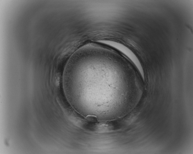 X0000099530315200805231108