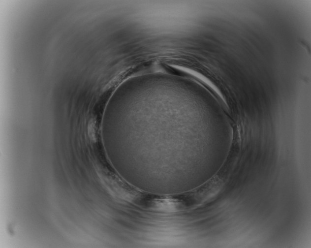 X0000099530316200805231108