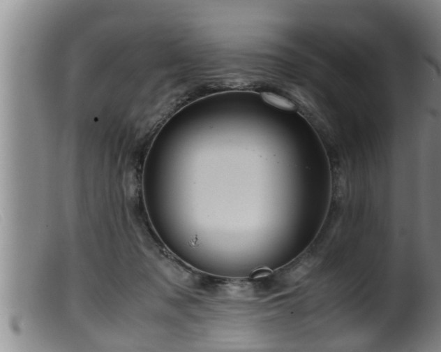 X0000099530317200805231108