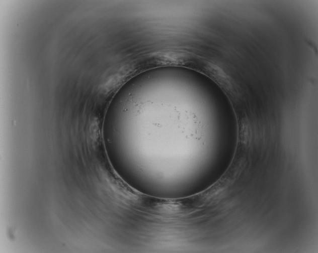 X0000099530318200805231108