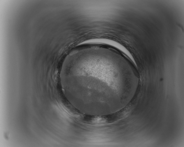 X0000099530319200805231108