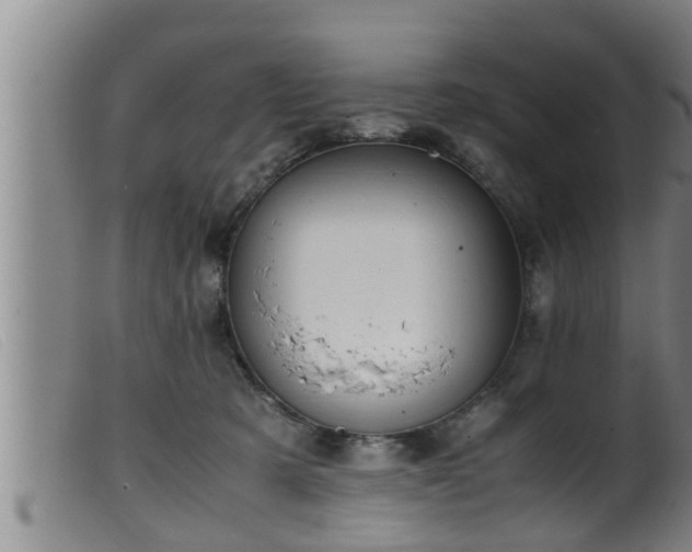 X0000099530321200805231108