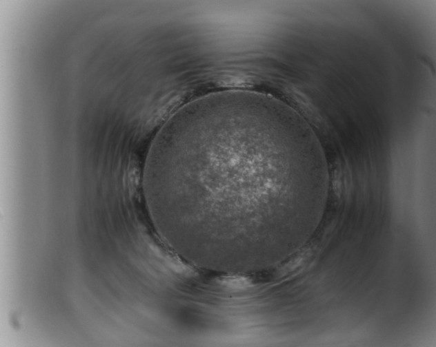 X0000099530322200805231108
