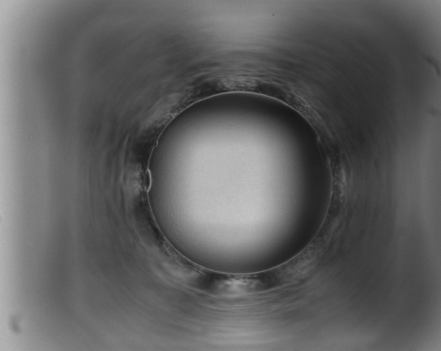 X0000099530323200805231108