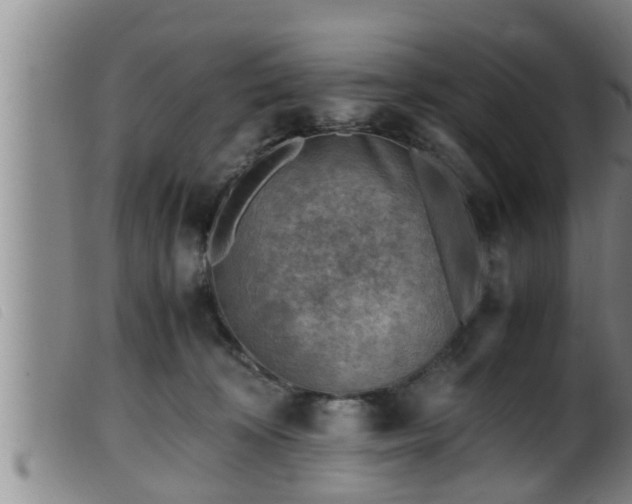 X0000099530324200805231108