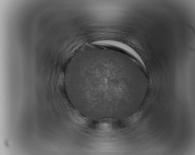 X0000099530325200805231108