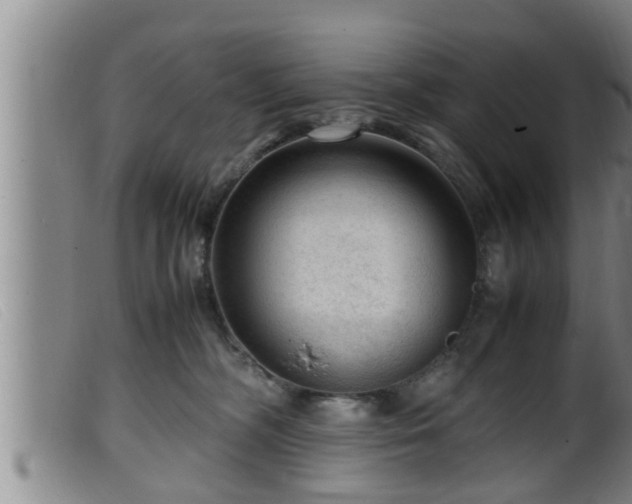 X0000099530326200805231108