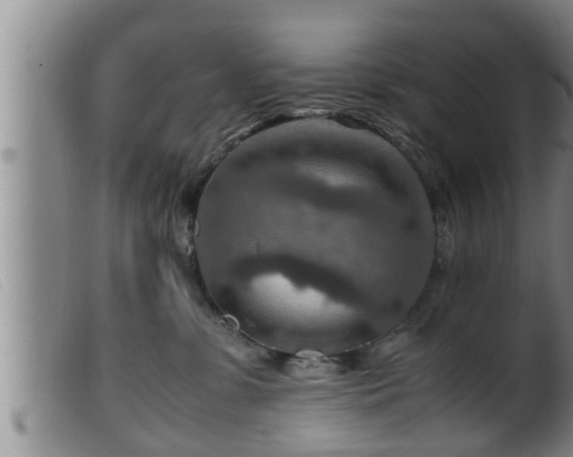 X0000099530331200805231108