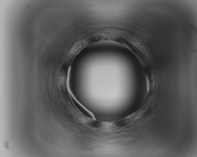 X0000099530333200805231108