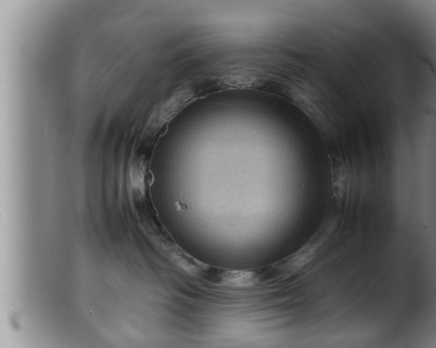 X0000099530334200805231108