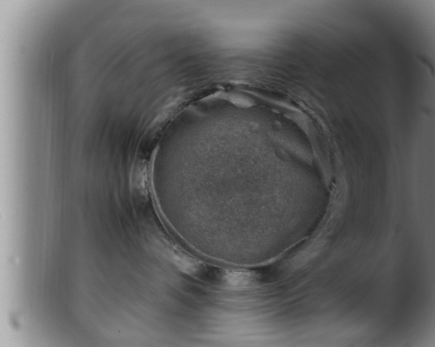X0000099530336200805231108