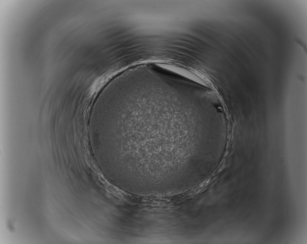 X0000099530337200805231107