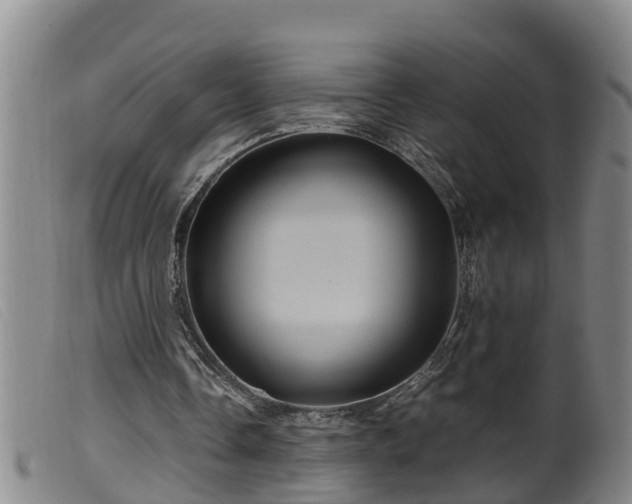 X0000099530338200805231107