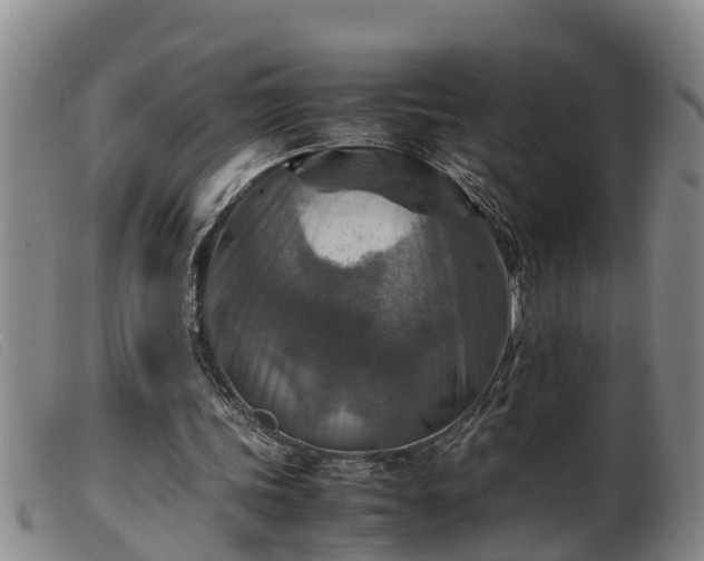 X0000099530339200805231107