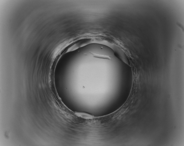 X0000099530340200805231107