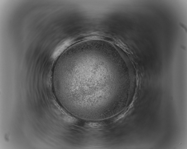 X0000099530341200805231107
