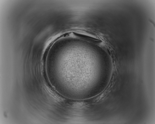 X0000099530342200805231107