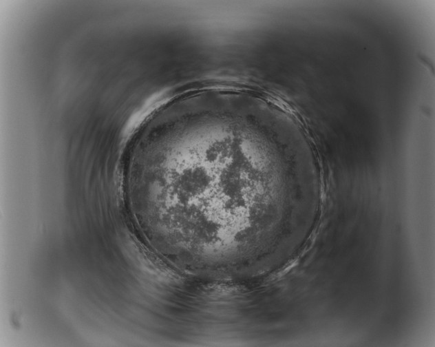 X0000099530343200805231107