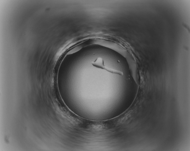 X0000099530344200805231107