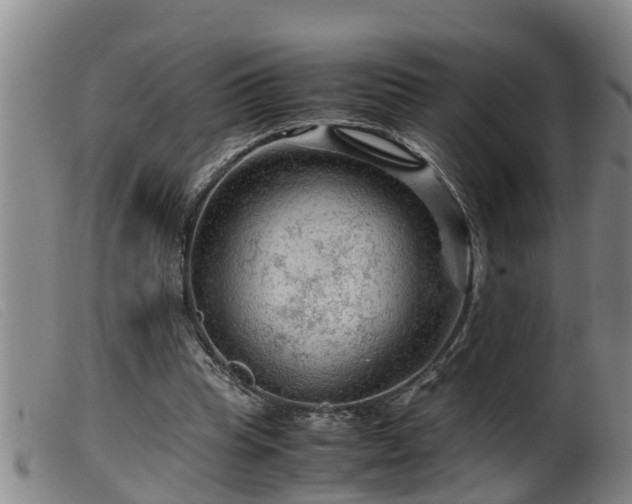 X0000099530345200805231107