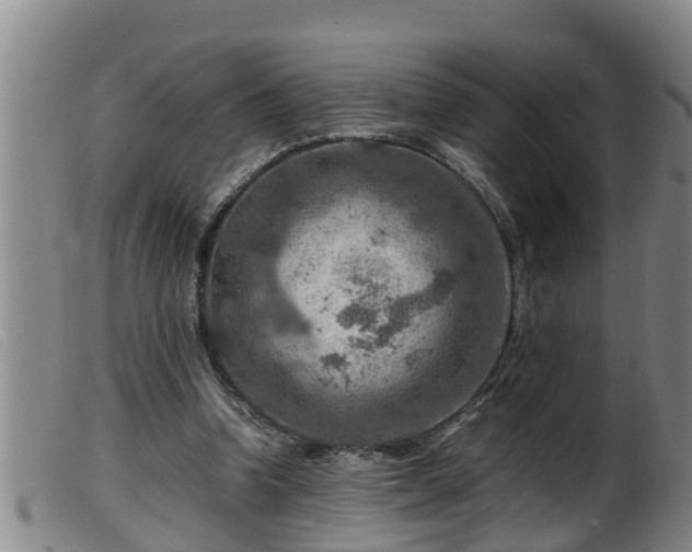 X0000099530346200805231107