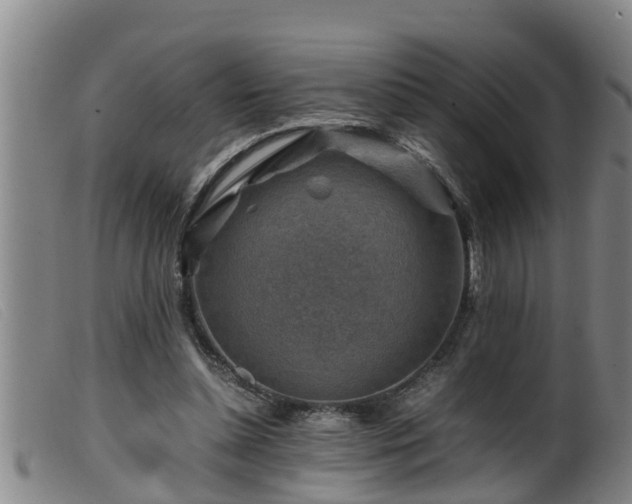 X0000099530348200805231107