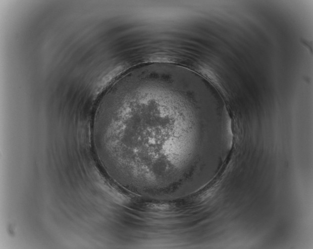 X0000099530349200805231107