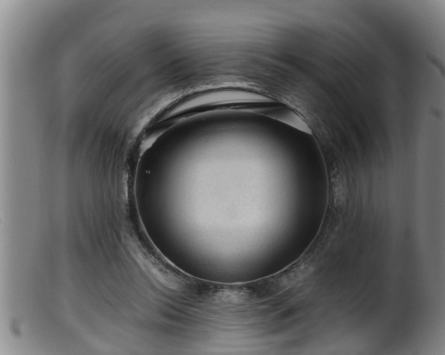 X0000099530350200805231107