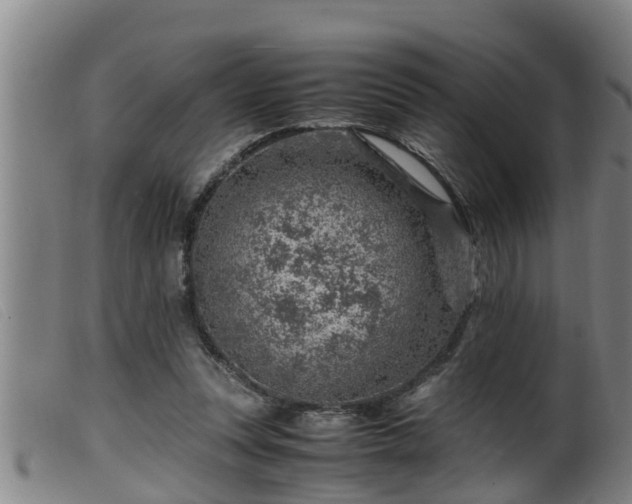 X0000099530351200805231107
