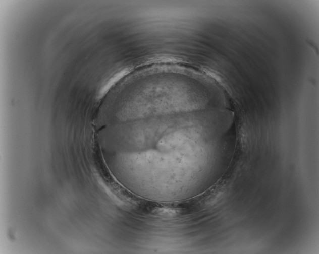 X0000099530352200805231107