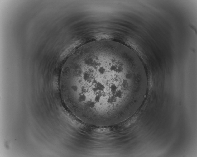 X0000099530353200805231107